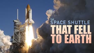 The Space Shuttle That Fell to Earth — foto 3