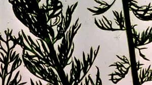 The Garden of Earthly Delights — foto 2