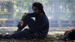 కిన్నెర‌సాని — foto 3