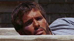 Il ritorno di Ringo — foto 10