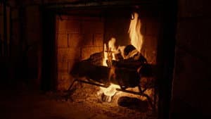 Adult Swim Yule Log — foto 2