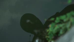 Reflector — foto 1