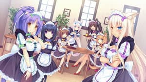 ネコぱらOVA — foto 5