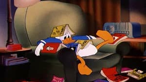 Duck Pimples — foto 1