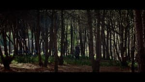 Paréntesis — foto 4