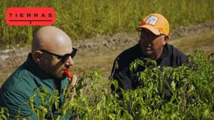 Episodio 6