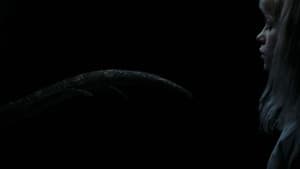 Una ballena — foto 3