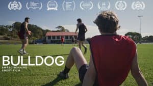 Bulldog — foto 4
