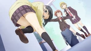 AIURA — foto 2