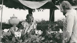 Le vieux pays où Rimbaud est mort — foto 1