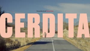 Cerdita — foto 2