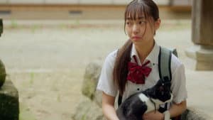 猫と私と、もう1人のネコ — foto 1