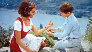 An der Donau, wenn der Wein blüht — foto 2