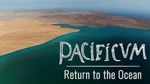 Pacificum: El retorno al océano — foto 7
