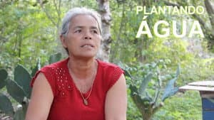 Plantando Água — foto 1