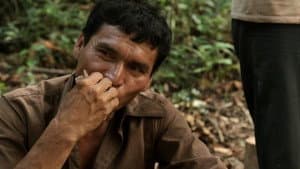 Episodio 7