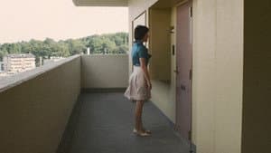 軽蔑 — foto 7