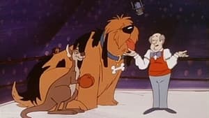 Episodio 24