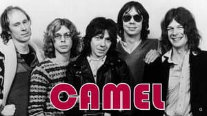 Camel - Moondances — foto 1