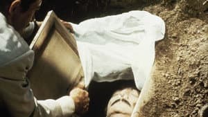 Bring Me the Head of Alfredo Garcia — foto 6