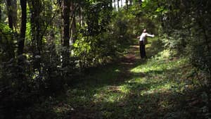 Cidade Natureza — foto 1