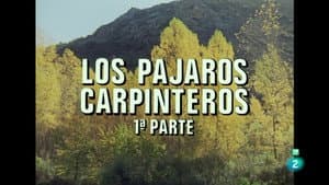Episodio 38