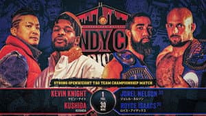 NJPW Windy City Riot 2025 — foto 8