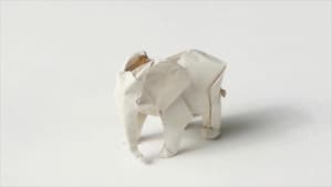 The Origami Code — foto 2