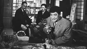 親馬鹿子守唄 — foto 1