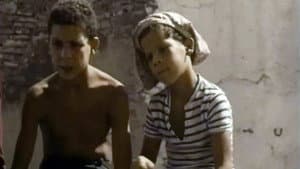 Les Moineaux d'Algérie — foto 7
