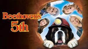 Beethoven 5: El perro buscatesoros — foto 7