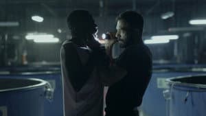 Musa — foto 1