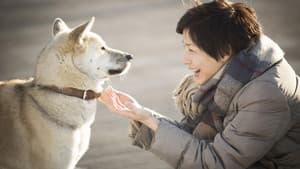 화장 — foto 6