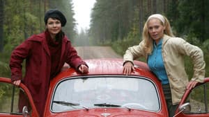 Rallybrudar — foto 2