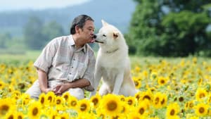 星守る犬 — foto 1