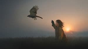 H Is for Hawk — foto 1