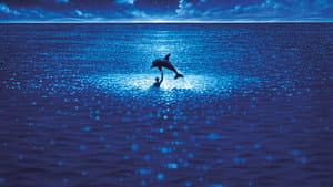 Azul profundo — foto 6
