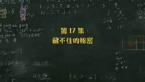 Episodio 17