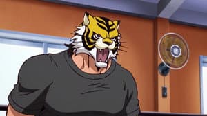 Episodio 11
