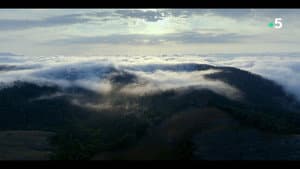 Ivohiboro: La Forêt Oubliée — foto 1