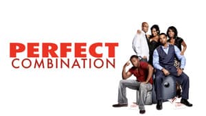 Perfect Combination — foto 1