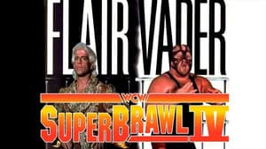 WCW SuperBrawl IV — foto 2