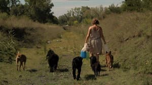 La mujer de los perros — foto 7