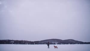 Au gré du vent — foto 2