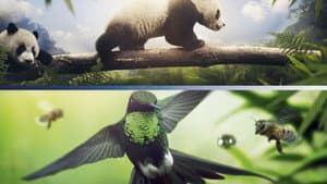 Earth: One Amazing Day — foto 6