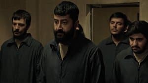Episodio 7