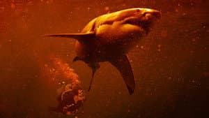 Sharkcano: Hawaii — foto 1