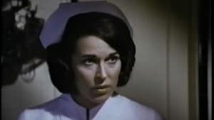 House of Terror — foto 1