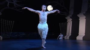 Swan Lake — foto 1