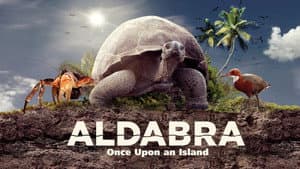 Aldabra: Byl jednou jeden ostrov — foto 3